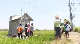 Salah satu petani di Desa Sukorejo, Ponorogo, Jawa Timur mendengarkan penjelasan dari Petugas PLN terkait penggunaan kWh meter untuk mengontrol penggunaan listrik pompa air persawahan. Melalui program Electrifying Agriculture diharapkan mampu meningkatkan produktivitas dan penghasilan petani secara signifikan.
