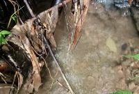 Photo: Sumber air yang berada di Dusun Sugeng ada Dua alternatif.