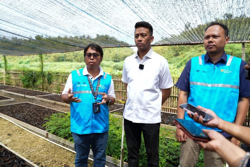 Sekretaris Perusahaan PLN EPI, Mamit Setiawan menyampaikan bahwa Program Pelatihan,  Perawatan dan Monitoring Tanaman Multifungsi serta Pendirian Rumah Bibit  menjadi salah satu contoh integrasi nyata antara sektor energi, konservasi lingkungan, dan penguatan ekonomi desa. Dengan pendekatan kolaboratif, PLN EPI berharap model ini dapat direplikasi di wilayah lain, terutama di daerah dengan potensi lahan non produktif.