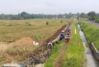 Foto: Pelaksanaan Program Oplah Kementerian Pertanian di Desa Kemranggon