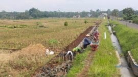 Foto: Pelaksanaan Program Oplah Kementerian Pertanian di Desa Kemranggon