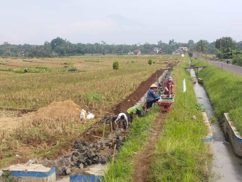 Foto: Pelaksanaan Program Oplah Kementerian Pertanian di Desa Kemranggon