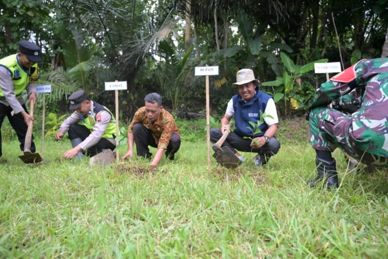 Foto: Penanaman 1.000 pohon oleh Kembara UIN Yogyakarta di Dusun Karang Tunon, Desa Glempang, Kecamatan Mandiraja, Banjarnegara.
