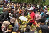 Fhoto: Tradisi ngalap berkah Dawegan Hijau oleh warga skitar di Ritual Sadran Gede Gumelem (Dok.Disparbud BNA/Berita Fakta.id).