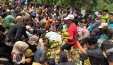 Fhoto: Tradisi ngalap berkah Dawegan Hijau oleh warga skitar di Ritual Sadran Gede Gumelem (Dok.Disparbud BNA/Berita Fakta.id).