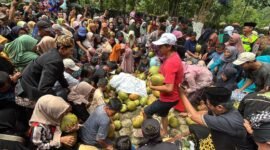 Fhoto: Tradisi ngalap berkah Dawegan Hijau oleh warga skitar di Ritual Sadran Gede Gumelem (Dok.Disparbud BNA/Berita Fakta.id).