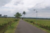 photo, Jalur penghubung antar Desa pada saat siang hari dan nampak lampu jalan yang saat ini tak pernah nyala.(Dok.Bas/Berita Fakta)