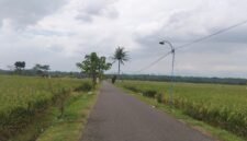 photo, Jalur penghubung antar Desa pada saat siang hari dan nampak lampu jalan yang saat ini tak pernah nyala.(Dok.Bas/Berita Fakta)