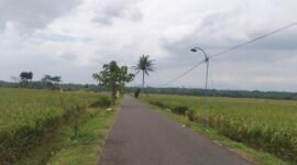 photo, Jalur penghubung antar  Desa pada saat siang hari dan nampak lampu jalan yang saat ini tak pernah nyala.(Dok.Bas/Berita Fakta)