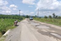 Foto: Kondisi jalan Pucung Bedug -Gumiwang saat ini nampak banyak lubang penuh air hujan.(Dok.Beritafakta.id)