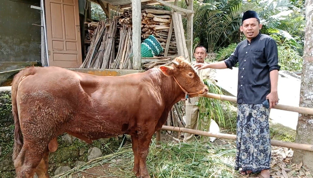 Jelang Idul Adha 2026, Kapolri Kembali Tebar Kebahagiaan untuk Warga Banjarnegara