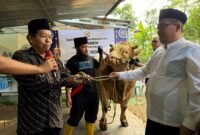 Prosesi penyerahan bantuan kurban  sapi 1,2 ton dari Presiden Prabowo oleh Hendro Cahyono Sekda Banjarnegara secara simbolis ke Chartun Kades Gumelem Wetan.(Dok.Kominfo/Berita Fakta.id)