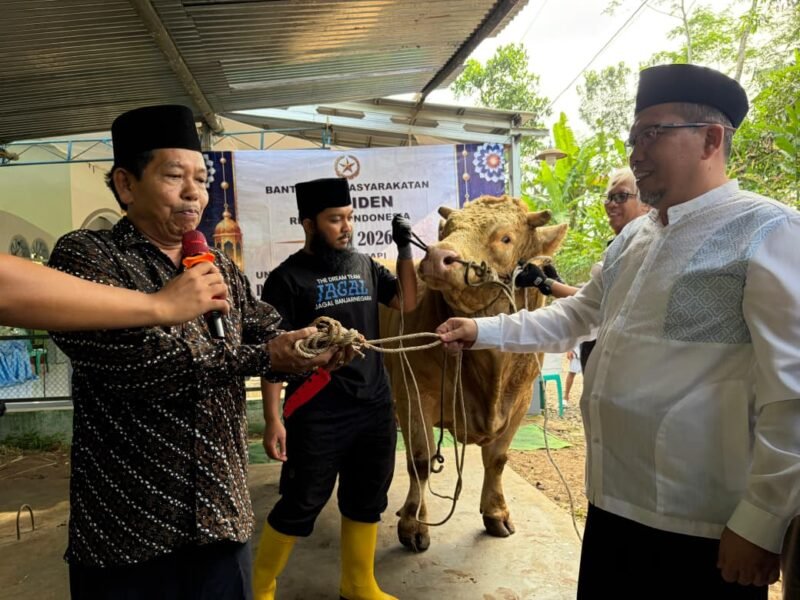 Prosesi penyerahan bantuan kurban  sapi 1,2 ton dari Presiden Prabowo oleh Hendro Cahyono Sekda Banjarnegara secara simbolis ke Chartun Kades Gumelem Wetan.(Dok.Kominfo/Berita Fakta.id)