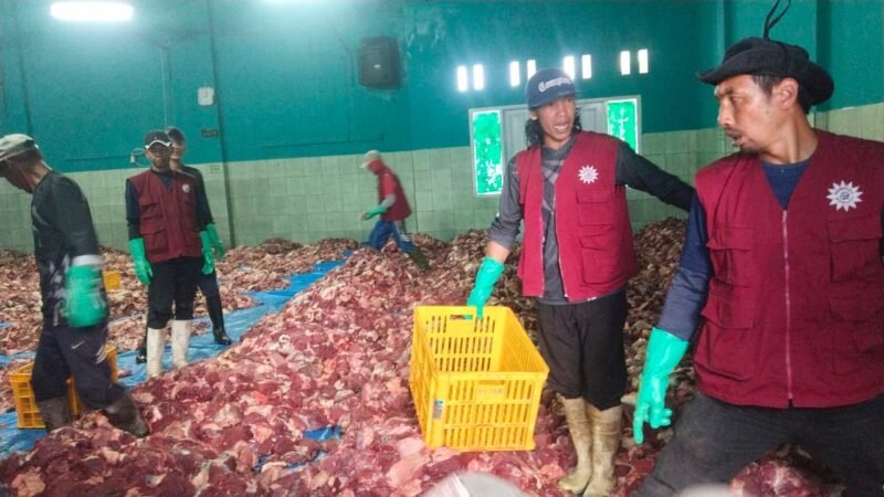 Suasana di Gedung Mohamadiyah Desa Batur nampak para relawan sedang mempersiapkan pembagian daging kurban untuk para warga masyarakat.(Dok.Berita Fakta.id)