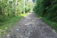 Ruas jalan Kali sat  tembus Kecamatan lama dari tangkisan Desa Petuguran, Kecamatan Punggelan, Kabupaten Banjarnegara, saat ini sedang dalam proses lelang dan sedang di evaluasi, harapan warga setempat akan segera terwujud karena akses mobilitas dari wilayah utara sangat membutuhkan.(Dok.Berita Fakta.id)