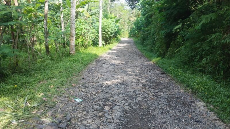 Ruas jalan Kali sat  tembus Kecamatan lama dari tangkisan Desa Petuguran, Kecamatan Punggelan, Kabupaten Banjarnegara, saat ini sedang dalam proses lelang dan sedang di evaluasi, harapan warga setempat akan segera terwujud karena akses mobilitas dari wilayah utara sangat membutuhkan.(Dok.Berita Fakta.id)