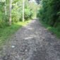 Ruas jalan Kali sat  tembus Kecamatan lama dari tangkisan Desa Petuguran, Kecamatan Punggelan, Kabupaten Banjarnegara, saat ini sedang dalam proses lelang dan sedang di evaluasi, harapan warga setempat akan segera terwujud karena akses mobilitas dari wilayah utara sangat membutuhkan.(Dok.Berita Fakta.id)