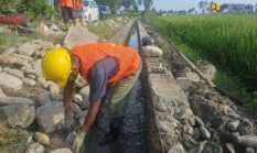 berita-pilihan-foto