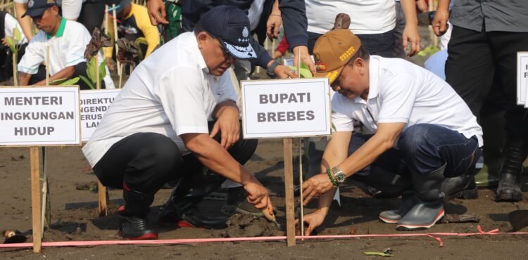 headline-foto