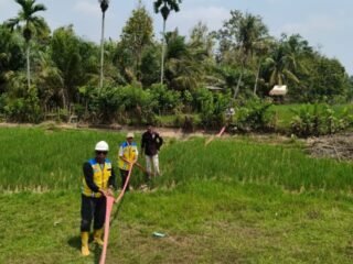 Atasi Kekeringan di Lahan Pertanian Sarolangun, Kementerian PU Kerahkan Pompa Air