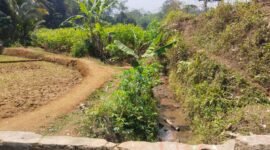 Kondisi saluran air untuk mengalirkan air di saat musim hujan di wilayah Klontong Desa Karang Sari, Kecamatan Punggelan, Kabupaten Banjarnegara.(Dok.Berita Fakta.id)