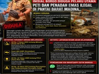 Tambang Emas Ilegal di Madina Kembali Disorot, Aktivis Minta APH Turun Tangan