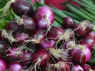 Harga Panen Bawang Merah di Brebes Naik, Pasca Festival 