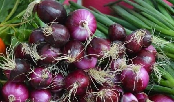 Harga Panen Bawang Merah di Brebes Naik, Pasca Festival 