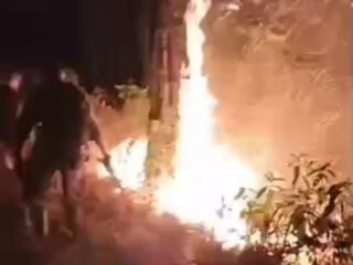 Kembali Terulang Kebakaran di Kawasan Hutan Wana Bei Kedungoleng, Warga Desak Perhutani Tindak Tegas Pelaku