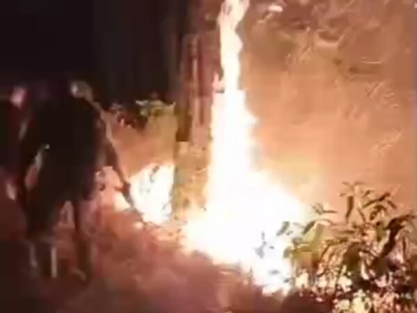 Kembali Terulang Kebakaran di Kawasan Hutan Wana Bei Kedungoleng, Warga Desak Perhutani Tindak Tegas Pelaku