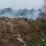 Warga Ciater Panik, Kebakaran Diduga Dipicu Dua Bocah Bakar Sampah