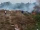 Warga Ciater Panik, Kebakaran Diduga Dipicu Dua Bocah Bakar Sampah